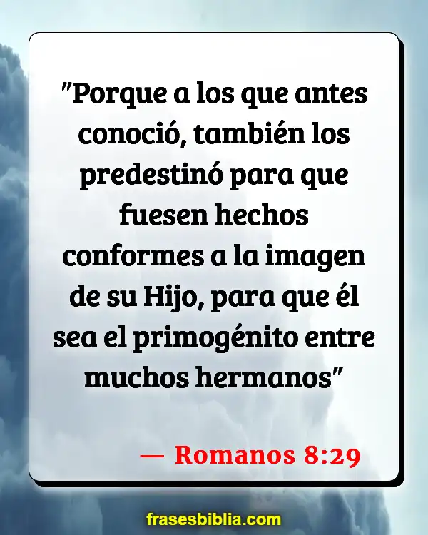 Versículos De La Biblia Unidad entre los creyentes (Romanos 8:29)