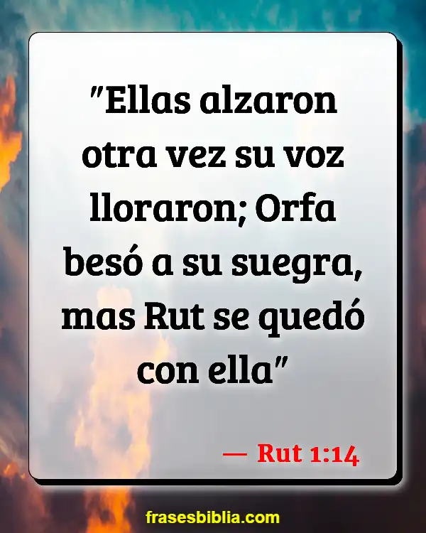 Versículos De La Biblia Adiós (Rut 1:14)