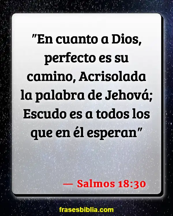 Versículos De La Biblia Palabra de dios (Salmos 18:30)