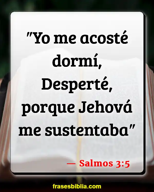 Versículos De La Biblia Quedarse fuera hasta altas horas de la noche (Salmos 3:5)