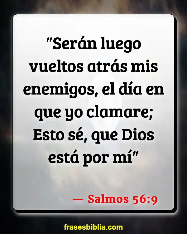 Versículos De La Biblia Seguridad (Salmos 56:9)