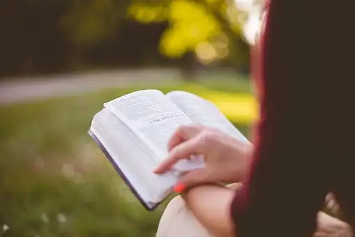 Versículos De La Biblia ¿Qué piensa Dios del divorcio?